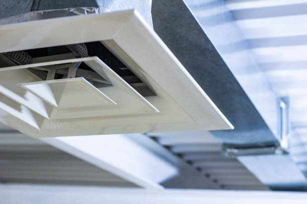 Best Local Air Duct Cleaning Services  in Avon, MN