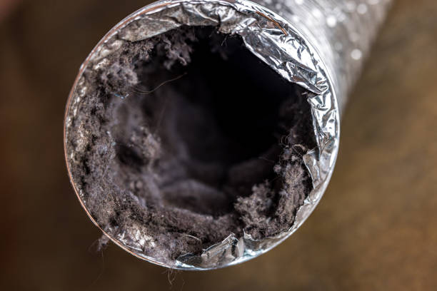 Best Air Duct Cleaning Near Me  in Avon, MN