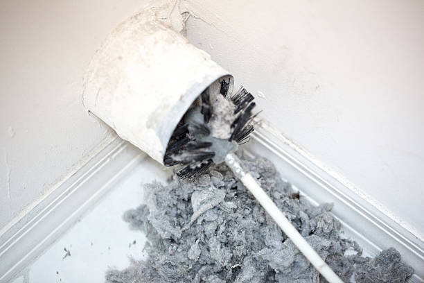 Best Air Duct Sanitizing Services  in Avon, MN